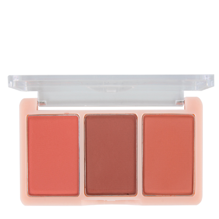 Ashley,Ashley Cheek Powder Blush,A298-05, A298,Ashley Cheek Powder Blush ราคา,Ashley Cheek Powder Blushรีวิว,Ashley Cheek Powder Blushซื้อที่